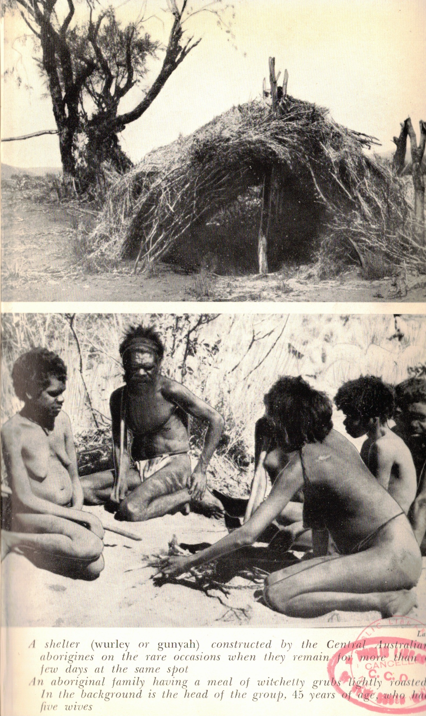 Aboriginal shelter and family