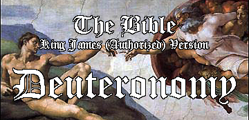 Bible - header image