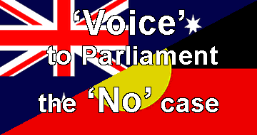 Voice the 'No' case