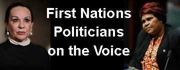 ABC News 11 First Nations Politicians