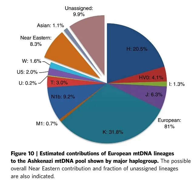 Ashkenazi proportional DNA chart (from Nature)