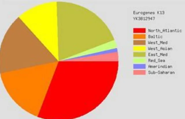 Ashkenazi proportional DNA chart 1 (from PD index)