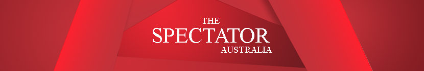 Spectator header