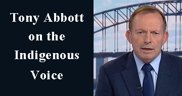 Abbott Voice