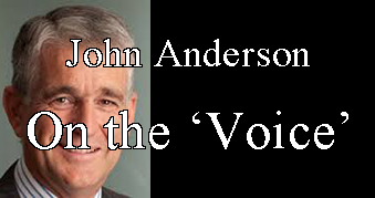 Voice John Anderson