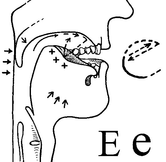 the letter e