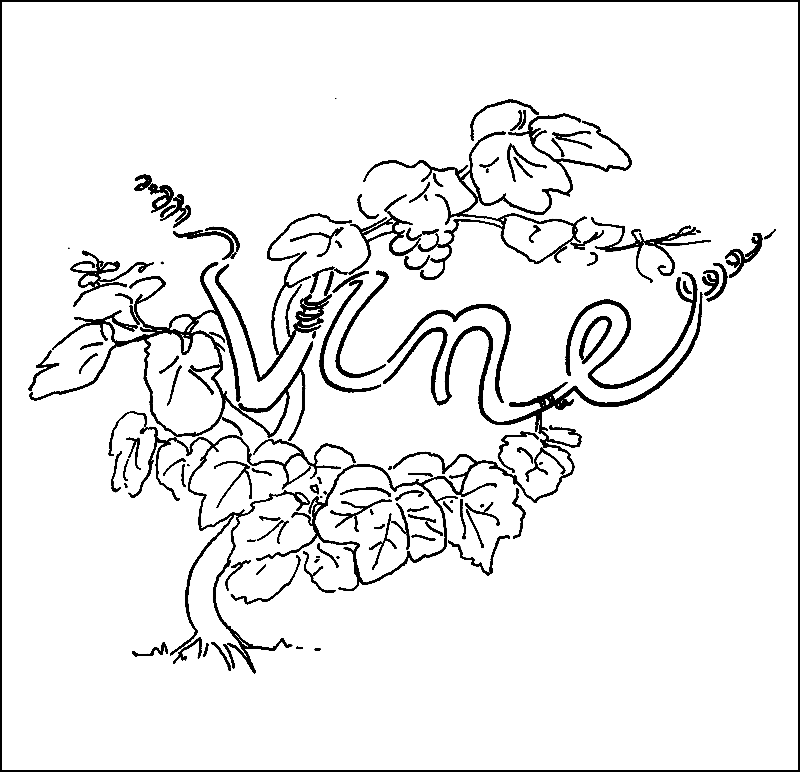 Vine