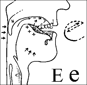 the letter e